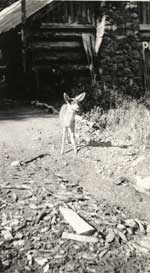 Photo taken in 1936